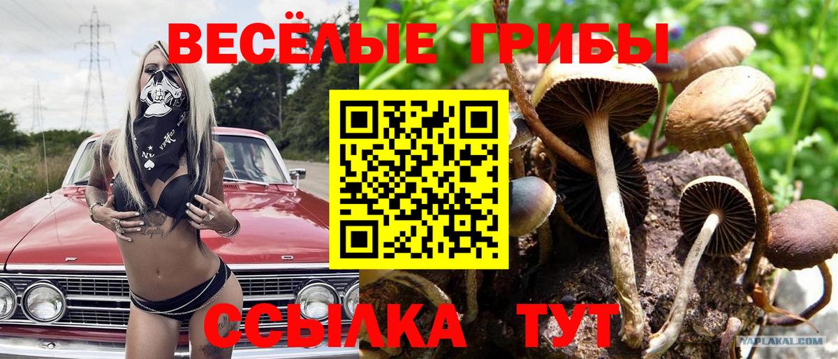 Галлюциногенные грибы мухоморы  цена наркотик  Кострома 